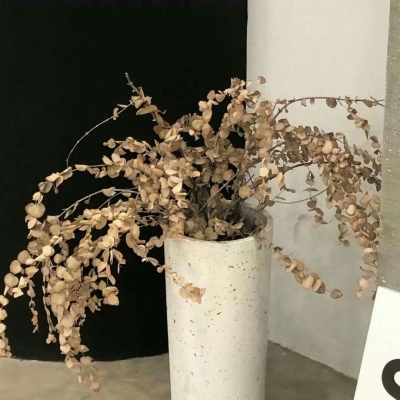 Furry绘画质感技巧福瑞群